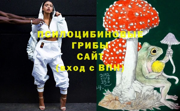 стаф Болотное