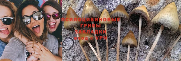 прущая мука Нязепетровск