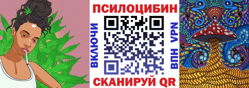 ОМГ ОМГ рабочий сайт Луховицы Псилоцибиновые грибы Cubensis