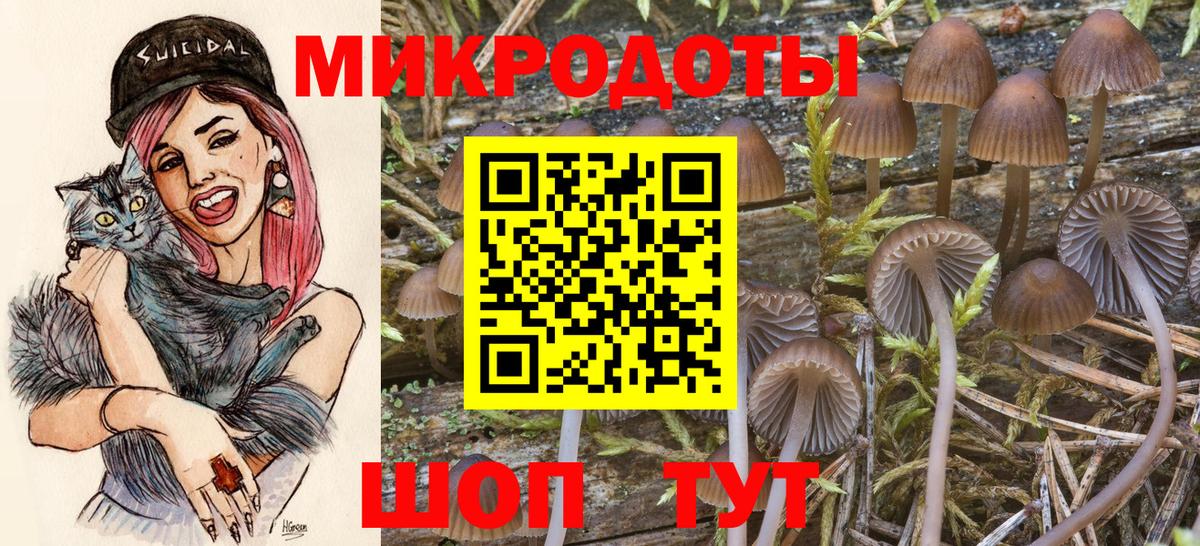 Луховицы  Псилоцибиновые грибы прущие грибы  Вход с VPN 